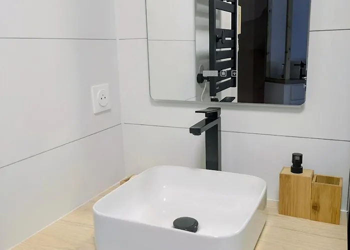 Center Compans Free Parking Wifi Subway Airport * Toulouse